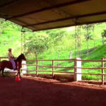 mallasombra picadero caballos mexico